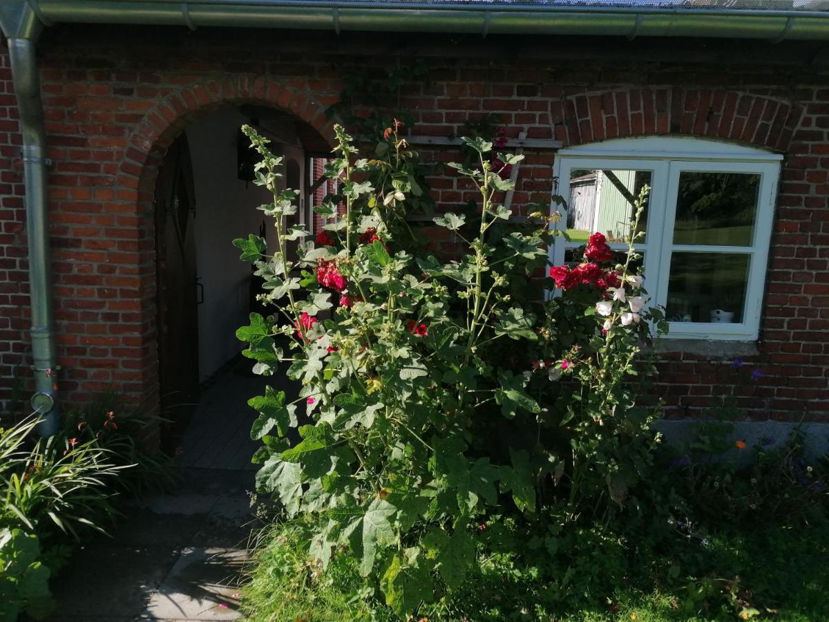 Ferienwohnung FW Achterdeck, Petershof-Lehbek Gelting Exterior foto